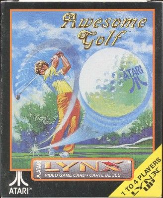 Awesome Golf Video Game
