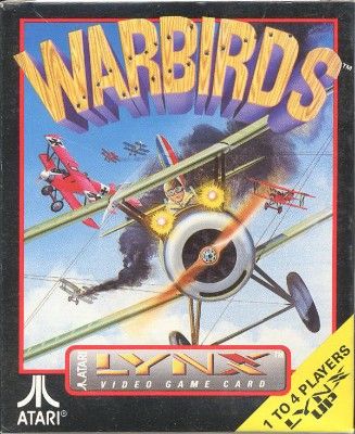 Warbirds Video Game
