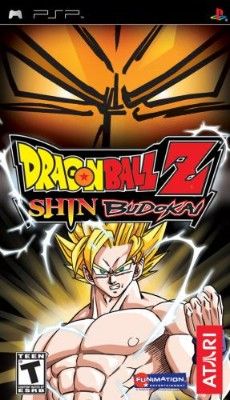 Dragon Ball Z: Shin Budokai Video Game