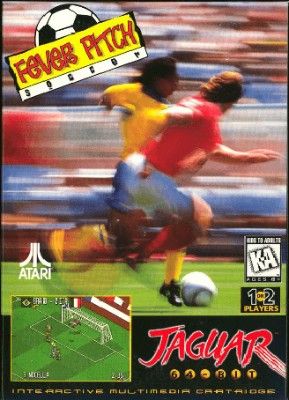 Fever Pitch Soccer Video Game