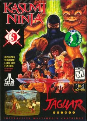 Kasumi Ninja Video Game