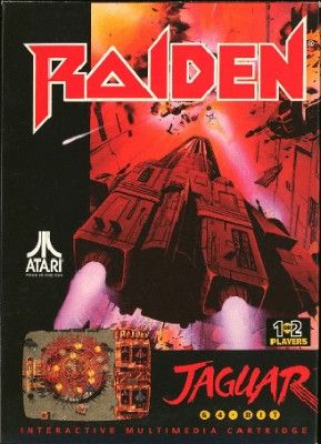 Raiden Video Game