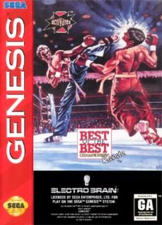 Best of the Best: Championship Karate Video Game