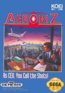 Aerobiz Video Game