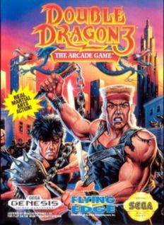 Double Dragon 3: The Arcade Game Video Game