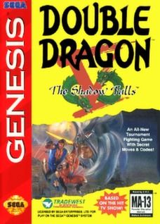 Double Dragon V: The Shadow Falls Video Game