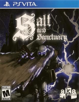 Salt and Sanctuary Video Game