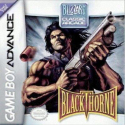 Blackthorne Video Game