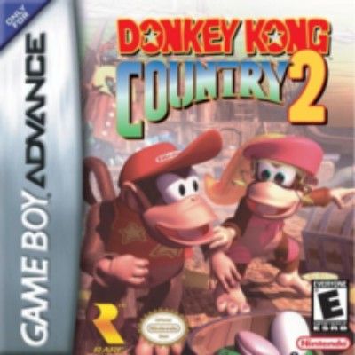 Donkey Kong Country 2 Video Game