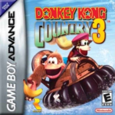 Donkey Kong Country 3 Video Game