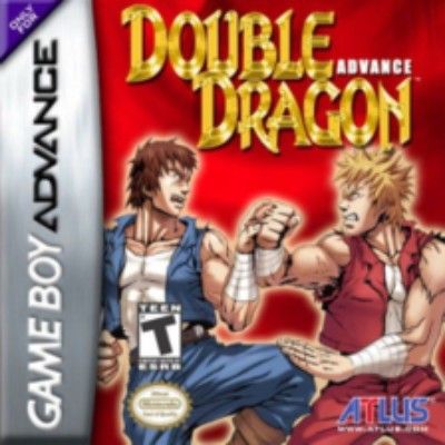 Double Dragon Advance Video Game