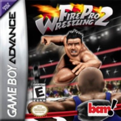 Fire Pro Wrestling 2 Video Game