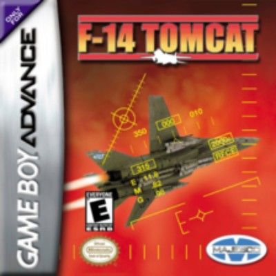 F-14 Tomcat Video Game