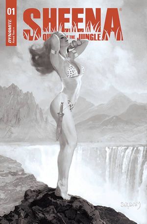 Sheena: Queen of the Jungle #1 (Cover K 40 Copy Cover Suydam B&)