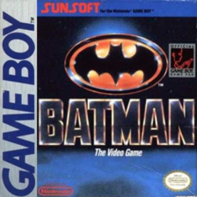 Batman: The Video Game Video Game
