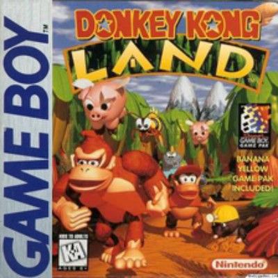 Donkey Kong Land Video Game