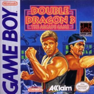 Double Dragon III: The Arcade Game