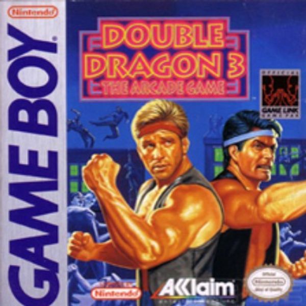 Double Dragon III: The Arcade Game
