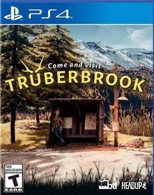 Truberbrook Video Game