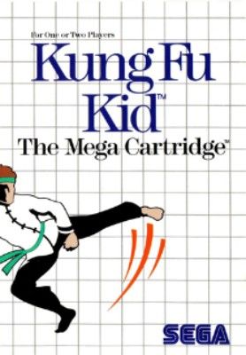 Kung Fu Kid Video Game
