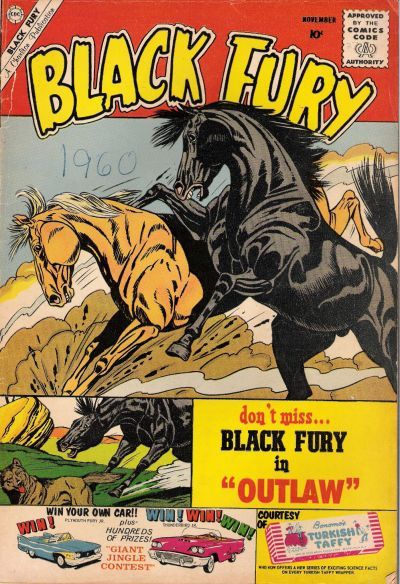 Black Fury #27 Comic