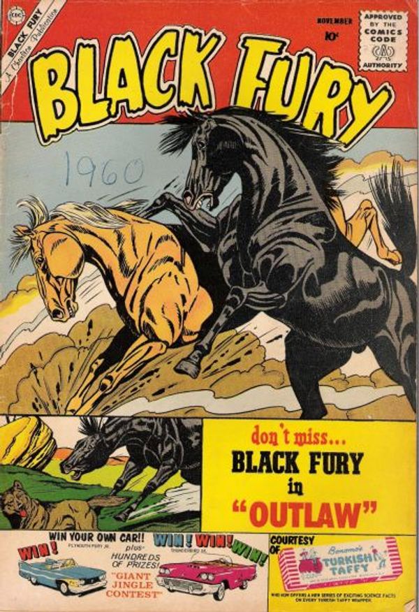 Black Fury #27