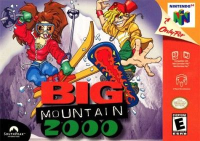 Big Mountain 2000 Video Game