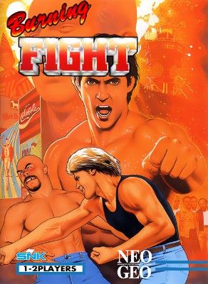 Burning FIght Video Game