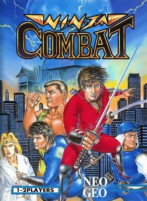 Ninja Combat Video Game