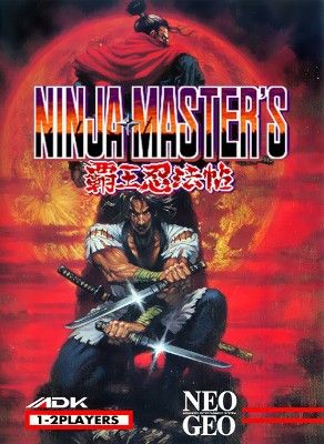 Ninja Master's Video Game
