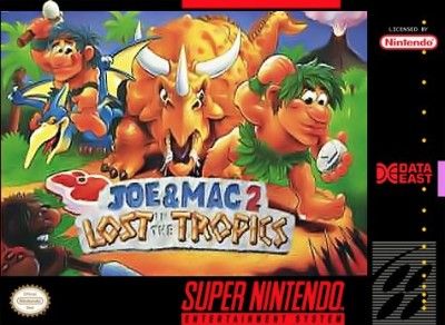Joe & Mac 2: Lost in the Tropics Video Game