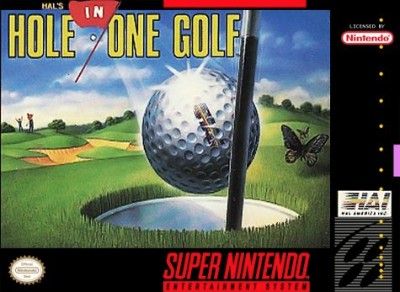 Hole in One Golf Video Game