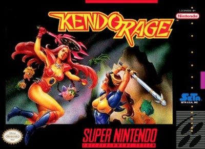 Kendo Rage Video Game