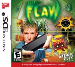 System Flaw