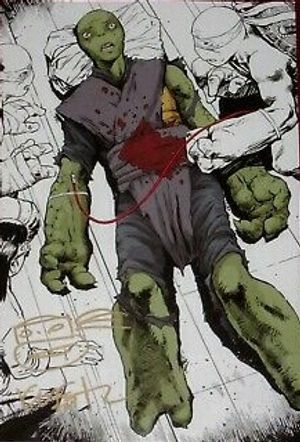Teenage Mutant Ninja Turtles #95 (San Diego Comic-Con Edition)