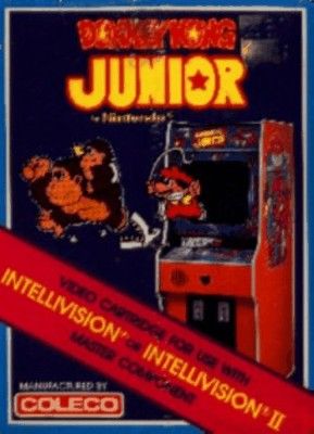 Donkey Kong Junior Video Game