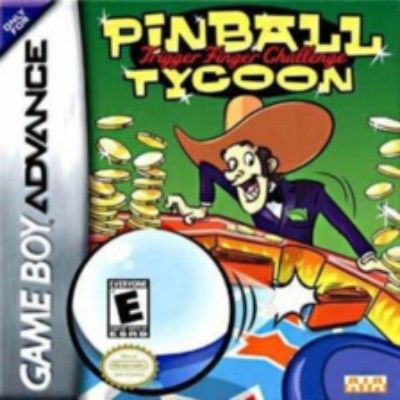 Pinball Tycoon Video Game