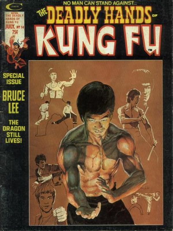 The Deadly Hands of Kung Fu #14