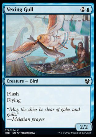 Vexing Gull (Theros Beyond Death) Trading Card