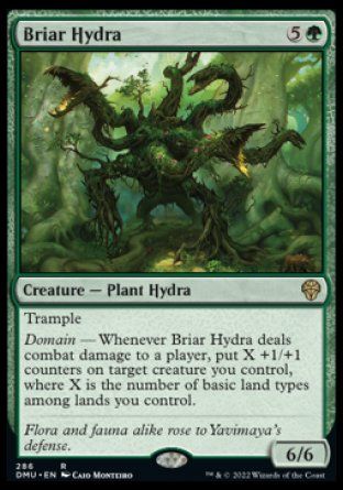 Briar Hydra (Dominaria United) Trading Card