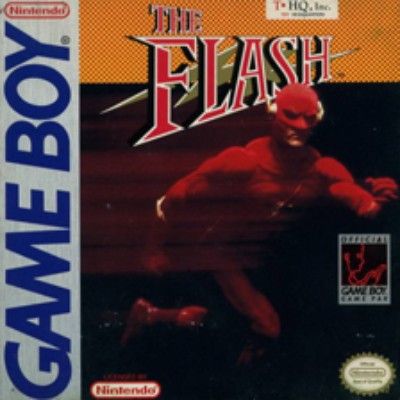 The Flash Video Game