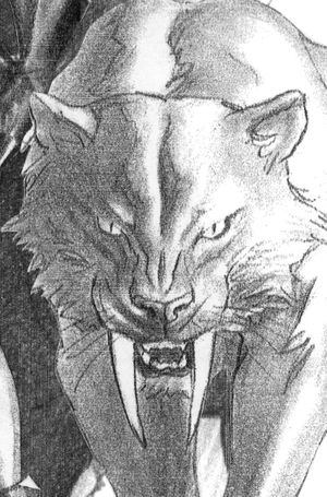 Black Cat #2 (Alex Ross Timeless Virgin Sketch Variant)