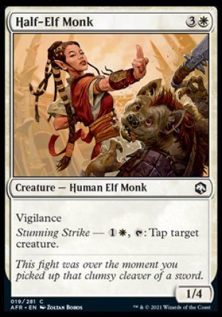 Half-Elf Monk (Dungeons & Dragons: Adventures in the Forgotten Realms) Trading Card