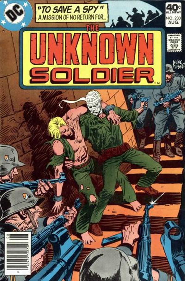 Unknown Soldier #230