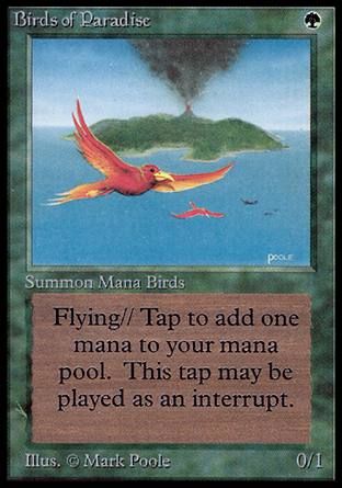 Birds of Paradise (Alpha) Trading Card