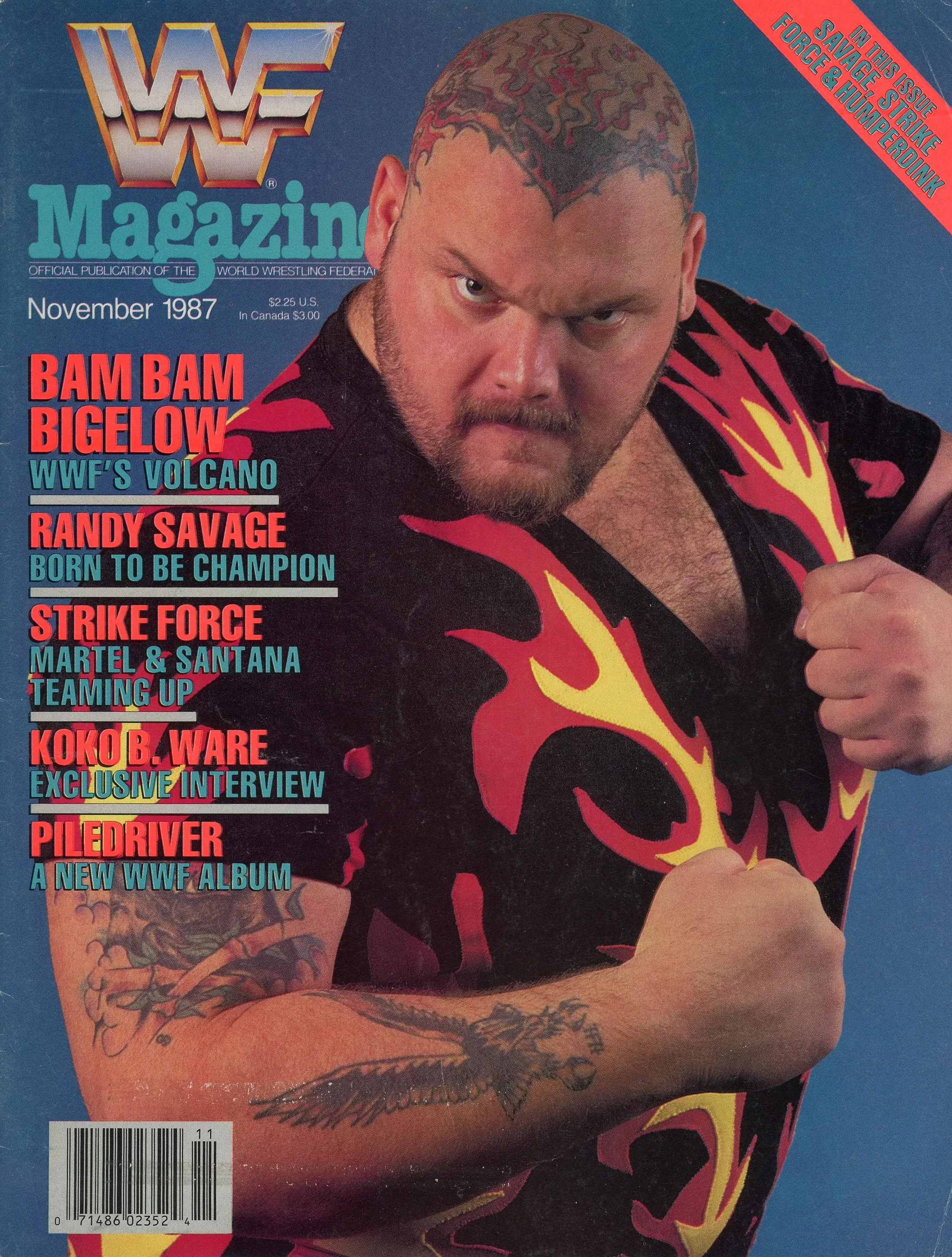 WWF magazine #v6 #11 Magazine