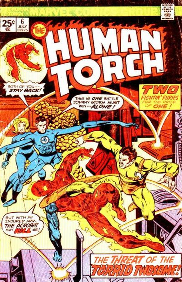 The Human Torch #6