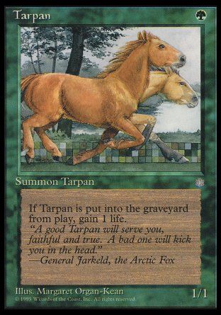 Tarpan (Ice Age) Trading Card