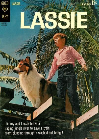Lassie #63 Comic