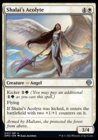 Shalai's Acolyte (Dominaria United) Trading Card